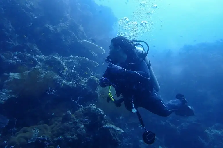 Open Water 2024: Mengukir Cerita di Laut Menjangan